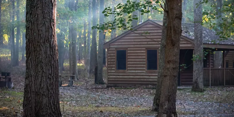 Symbolbild: Blockhütte im lichten Wald, Sonnenstrahlen im Morgendunst