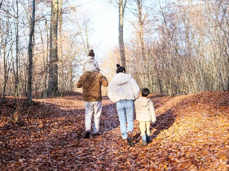 Familie mit zwei Kindern spaziert durch den Herbstwald, von hinten gesehen
