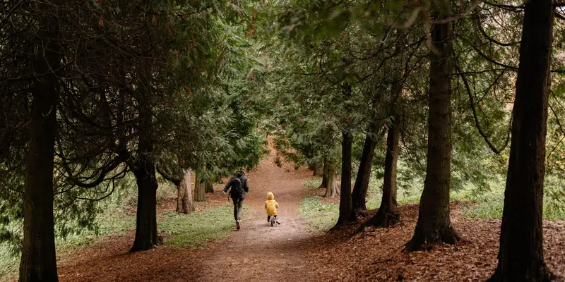 Symbolbild: Erwachsener und Kind mit Fahrrad auf einem Waldweg zwischen hohen Bäumen